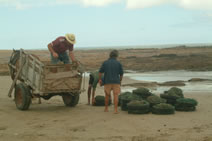 Pescadores